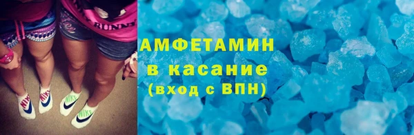 индика Аркадак