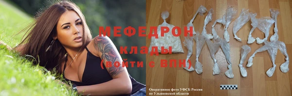 индика Аркадак