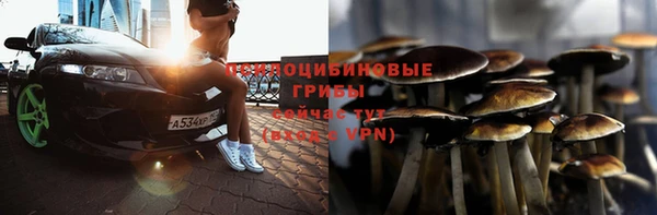 2c-b Арсеньев