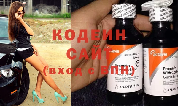 индика Аркадак