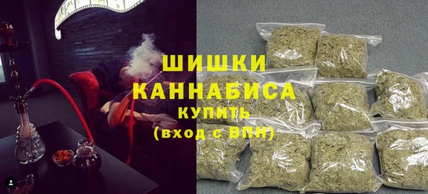 индика Аркадак