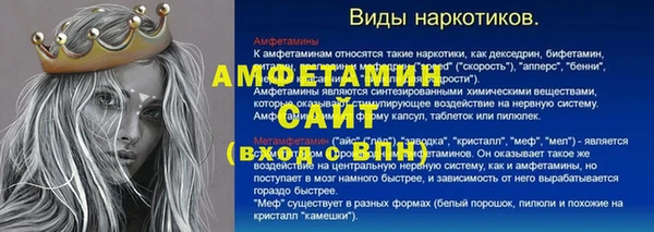 индика Аркадак